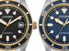 Citizen two tone