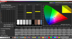 CalMAN ColorChecker gekalibreerd (doelkleurruimte P3)