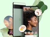 De Google Pixel 6A biedt ongelooflijke waarde voor het geld, camera-gewijs. (Bron: Google)