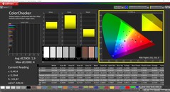 CalMAN ColorChecker-kalibratie (doelkleurruimte P3)