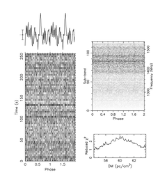 Misschien een pulsar? (bron: Pulsarzoekers)