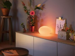 De Philips Hue Flourish tafellamp