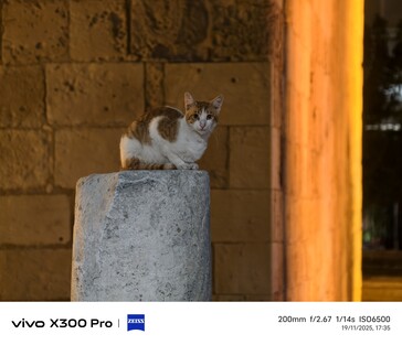 Vivo X300 Pro 200 mm met teleconverter.