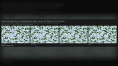 Vergelijking van de oorspronkelijke, lossy- en lossy2-rendering van AMD FSR 4.1.1 met bewegende begroeiing.
