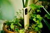Realme 16 Pro Plus in recensie