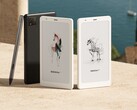 De Boox P6 Pro Color met stylusondersteuning en Boox P6 Pro. (Afbeeldingsbron: Onyx)