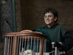 Op Reddit bespreken Harry Potter-fans emotionele boekmomenten die niet uit de HBO-serie mogen worden weggelaten.