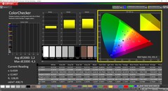 CalMAN ColorChecker gekalibreerd (doelkleurruimte P3)