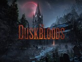 Afbeelding van de bannertest voor het netwerk van The Duskbloods Switch 2