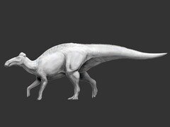 Edmontosaurus annectens is de eerste dinosaurus waarvan bekend is dat hij hoefachtige voeten had. (Afb.bron: Science.org)