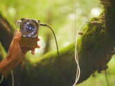 Pocket Scion maakt muziek op basis van de elektrische activiteit van planten. (Afbeeldingsbron: Instruō)