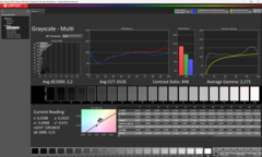 Grijswaarden vóór kalibratie