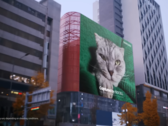 Samsung's "200MP Cat". (Bron: Samsung)