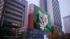 Samsung&#039;s &quot;200MP Cat&quot;. (Bron: Samsung)