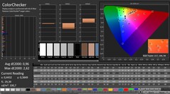 CalMAN: ColorChecker (gekalibreerd)