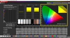 CalMAN ColorChecker (DCI-P3 doelkleurruimte)