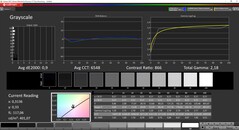 CalMan ColorChecker - Grijstinten - Gekalibreerd