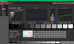 Grijswaarden vóór kalibratie (sRGB)