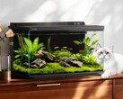 De Dangbei Smart Fish Tank 2S Ultra wordt op 26 april 2026 in China gelanceerd.