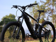 De Frey Evolve Neo elektrische fietsen hebben een topsnelheid van 40 km/u (~25 mph). (Afbeelding bron: Frey Bike)
