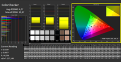 CalMAN - Color Checker gekalibreerd