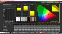 CalMAN ColorChecker gekalibreerd (doelkleurruimte P3)