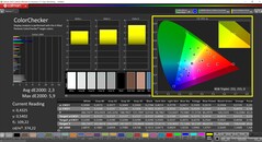 CalMAN ColorChecker (profiel: Native, doelkleurruimte: P3)