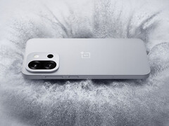 De OnePlus 13T bevat nogal wat downgrades ten opzichte van de grotere OnePlus 13. (Afbeelding bron: OnePlus)