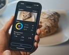 De Food Log-functie van de Zepp-app is aangekomen in Europa. (Afbeeldingsbron: Amazfit)