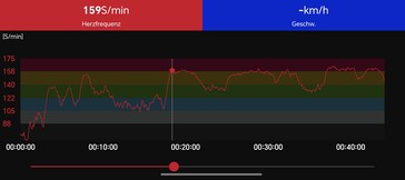 Hartslagmeting Polar H10