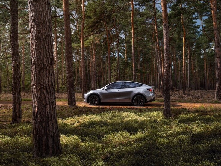 Het Model Y in de kameleontische kleur Quicksilver