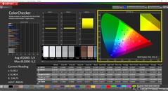 CalMAN ColorChecker (profiel: P3, doelkleurruimte: P3)