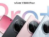 De "Y300 Pro+". (Afbeeldingsbron: Sandwich Sister via Weibo)
