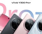 De "Y300 Pro+". (Afbeeldingsbron: Sandwich Sister via Weibo)