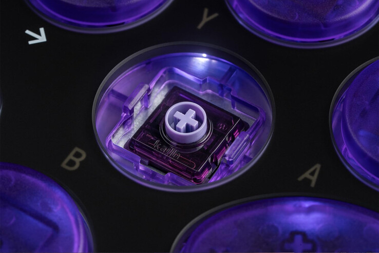 (Afbeeldingsbron: 8BitDo)