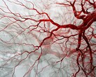 De nieuwe, op PAT gebaseerde technologie kan gebruikt worden om snelle, onscherpe beelden van bloedvaten te maken voor een tijdige diagnose. (Afbeeldingsbron: Neuroscience News)