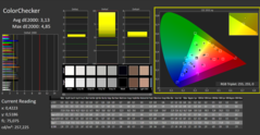 CalMAN: ColorChecker (gekalibreerd)