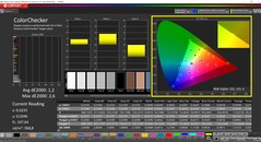 CalMAN ColorChecker (profiel: sRGB, doelkleurruimte: sRGB)