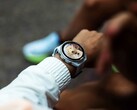 De Garmin Connect IQ Store vertraagt app-updates momenteel met meerdere dagen.