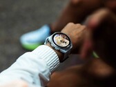 De Garmin Connect IQ Store vertraagt app-updates momenteel met meerdere dagen.
