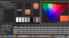 CalMAN: ColorChecker (gekalibreerd)