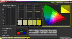 CalMan ColorChecker - Verzadiging - Gekalibreerd