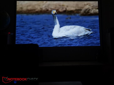 Beeld in verduisterde kamer