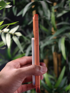 (Afbeeldingsbron: Ramal Media)