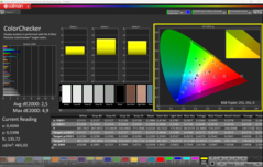 CalMAN KleurenChecker