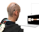 Onderzoekers ontwikkelen methode om 3D EEG-tatoeages op hoofden te printen voor afstandsbediening van elektronische apparaten. (Afbeeldingsbron: Vasconcelos et al. in Cell Biomaterials)