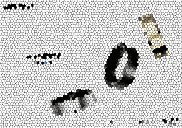 (Afbeeldingsbron: Evan Blass)