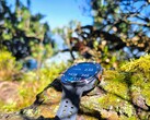 Ter beoordeling: Samsung Galaxy Watch Ultra2