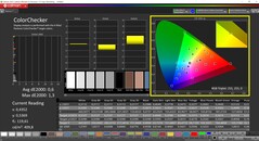 CalMAN ColorChecker (doelkleurruimte P3)