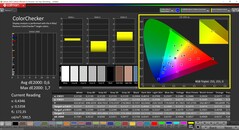 CalMAN ColorChecker gekalibreerd (P3 doelkleurruimte)